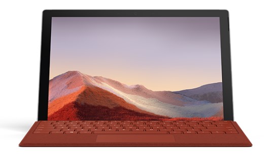 微山清洁和维护 Surface
